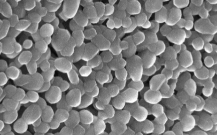 SEM image of ceramic membrane - clean, PFAS-free structure